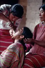 dentist.webp