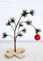 CBTREE.webp