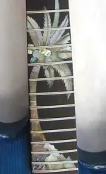 guitar neck palm tree.webp