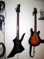 Bass1.webp