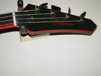 bass2.webp