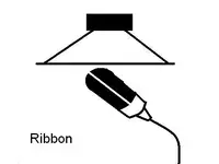 ribbonplacement.webp