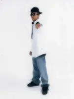 Noddyfly.webp
