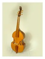 Tenor_Gamba_front.webp