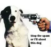 spam.webp