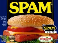 spam.webp