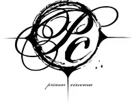 prisoner.webp