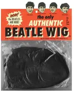 Beatle Wig.webp