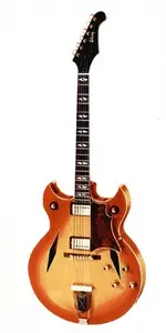 Trini Lopez guitar.webp