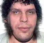 andre-767805.webp