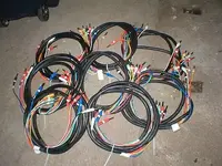 insert snakes 10 multi reduced.webp