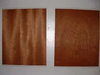 DSCF0045.webp
