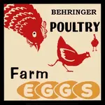 Behringer.webp