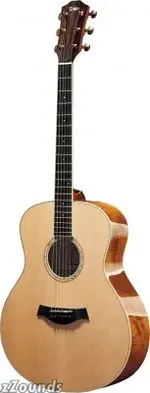 taylor.webp