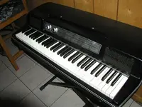 P1010022.webp