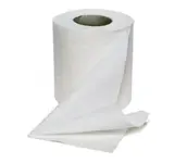 toilet_paper.webp