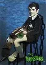 eddiecard.webp
