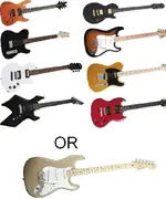 Which 1.webp