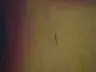 8565_0zxc.webp