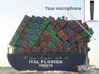 yourmic.webp