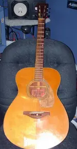 Acoustic.webp