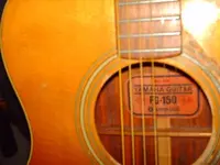 fg150.webp