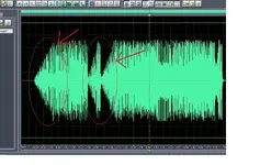 Waveform.webp