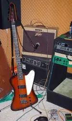 TBass.webp