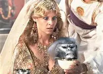 mnky.webp