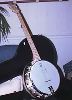 banjo.webp