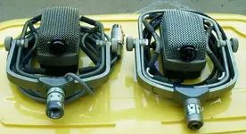 d25 small.webp