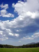viewfromporch.webp