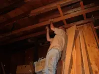 im000259.webp