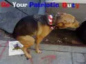 images.webp