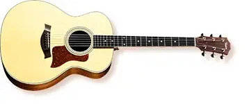 taylor.webp
