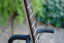 frets.webp