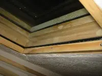 window1.webp