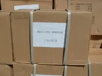 mics2.webp