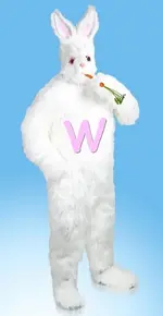 bunny.webp