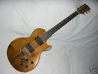 the Paul!.webp