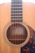 Larrivee L03 B.webp