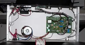 guts smaller.webp