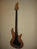 bass_small.webp