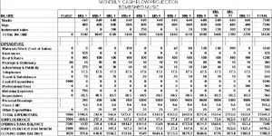 monthly cashflow.webp
