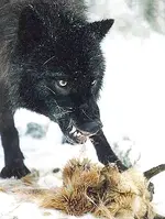 we_dont_share.webp