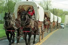 wagon_train.webp