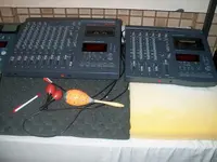 Im002446a.webp