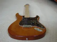 Carvin Kit #2 015.webp