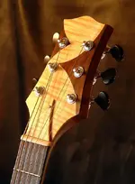 Headstock.webp