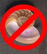 notshell.webp